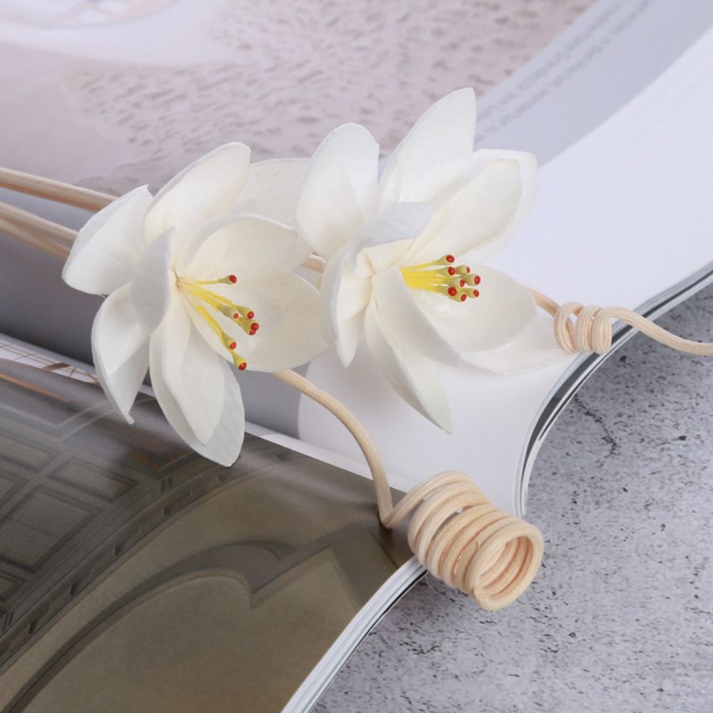Home Fragrance Natural - Varillas Difusoras de Aroma Multiusos de